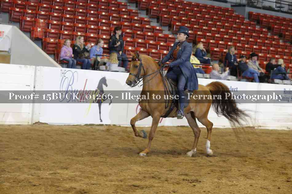 Proof 15BUCK_01266