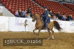 15BUCK_01266 proof