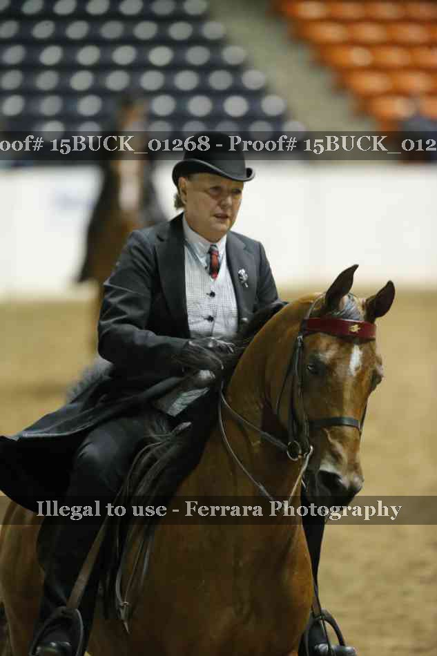 Proof 15BUCK_01268