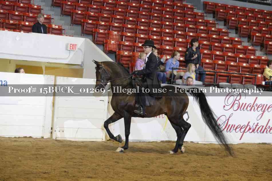 Proof 15BUCK_01269