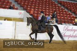 15BUCK_01269 proof