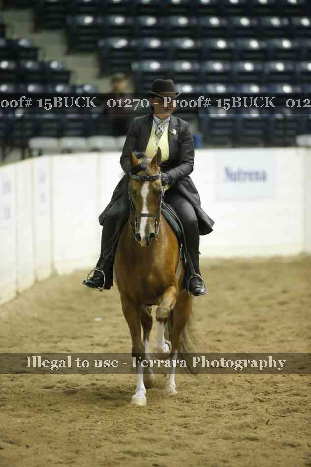 Proof 15BUCK_01270