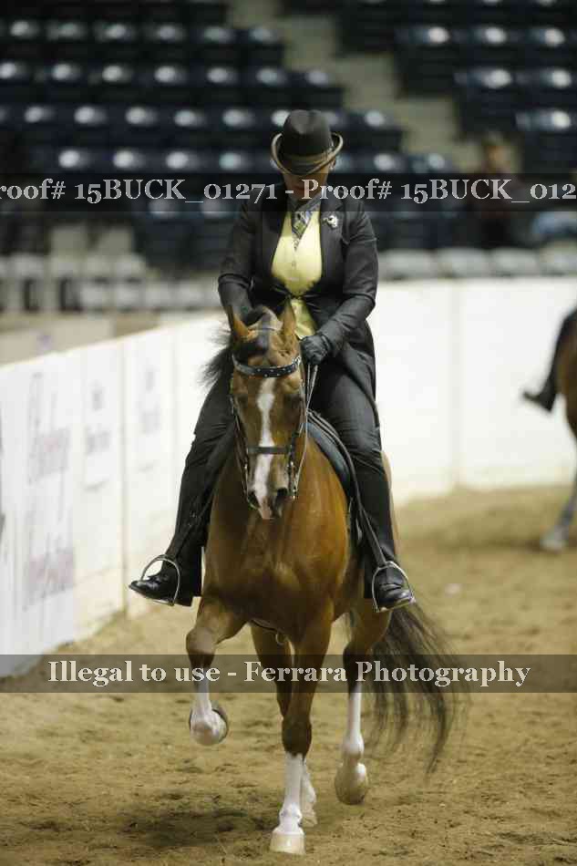 Proof 15BUCK_01271