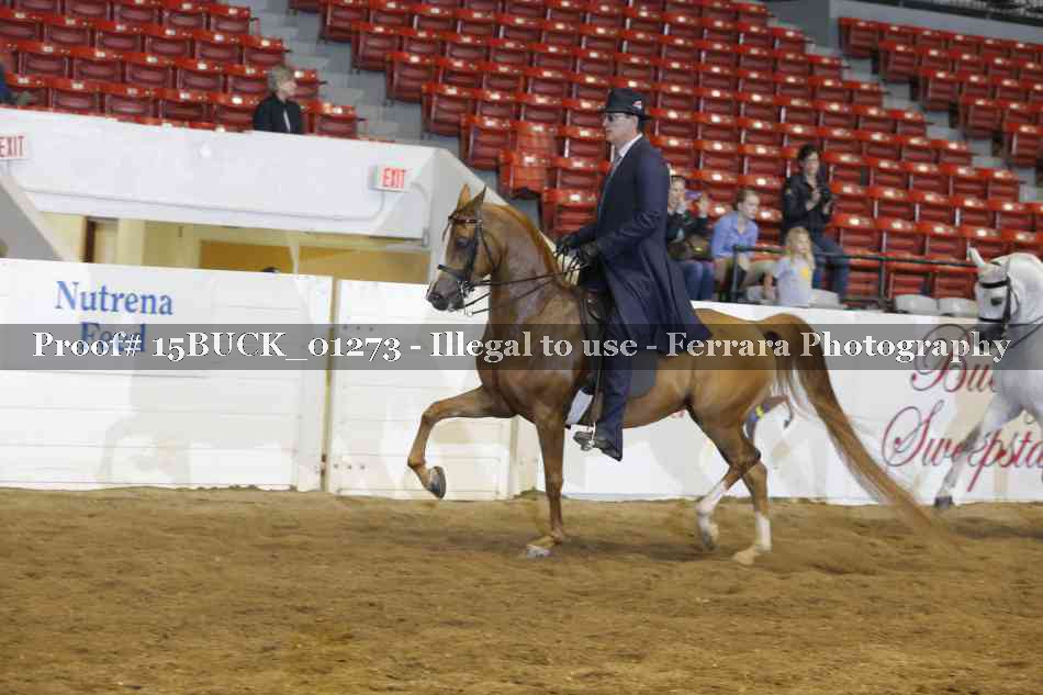 Proof 15BUCK_01273