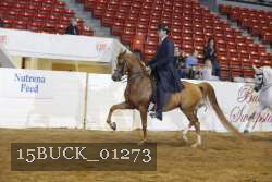 15BUCK_01273 proof