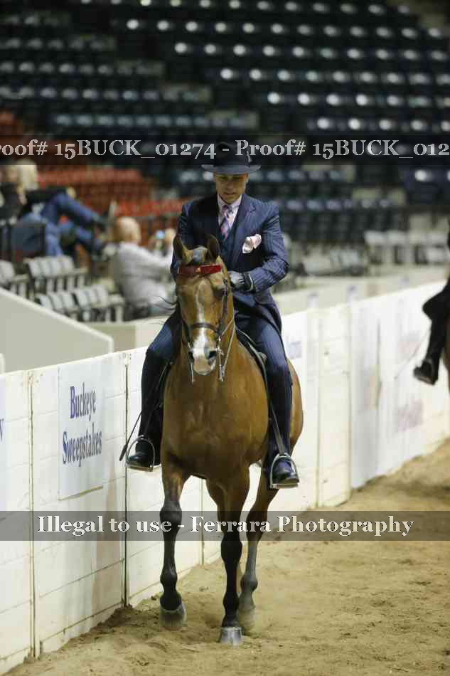 Proof 15BUCK_01274