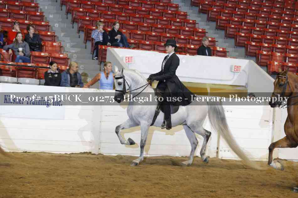 Proof 15BUCK_01275