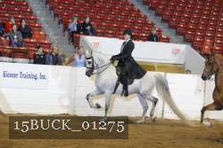 15BUCK_01275 proof