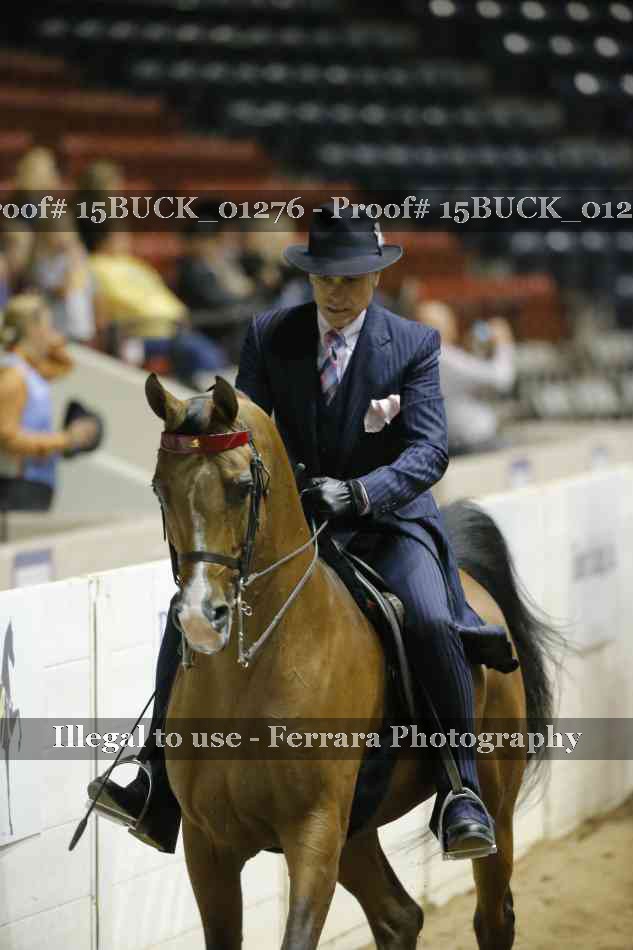 Proof 15BUCK_01276
