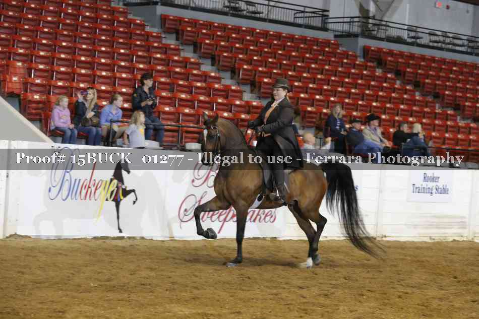 Proof 15BUCK_01277