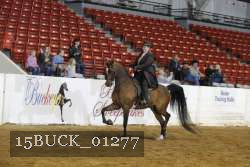 15BUCK_01277 proof
