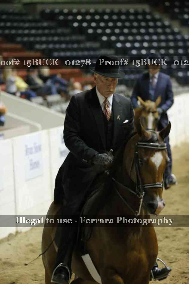 Proof 15BUCK_01278