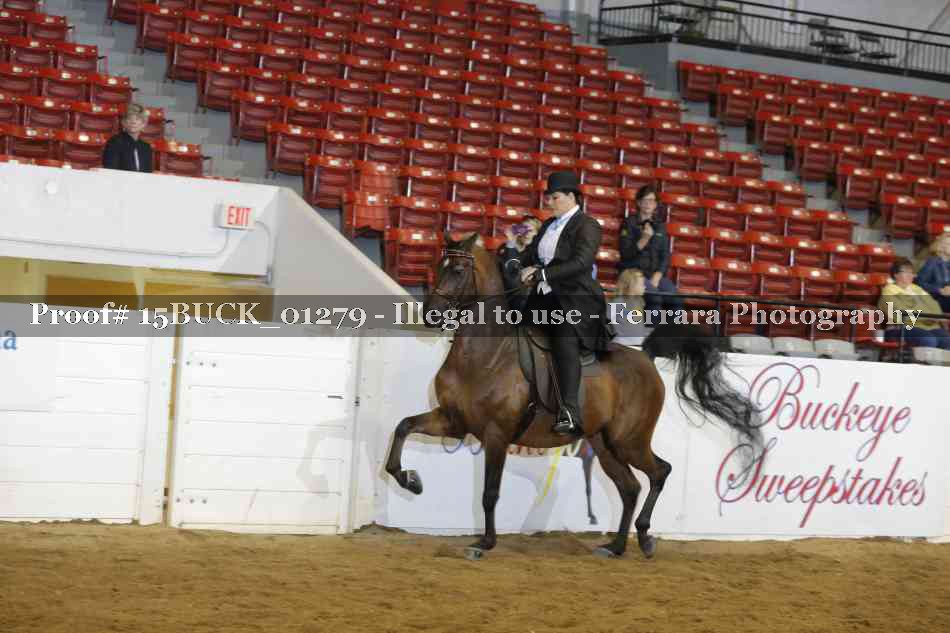 Proof 15BUCK_01279