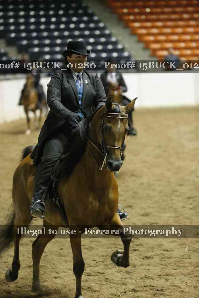 Proof 15BUCK_01280
