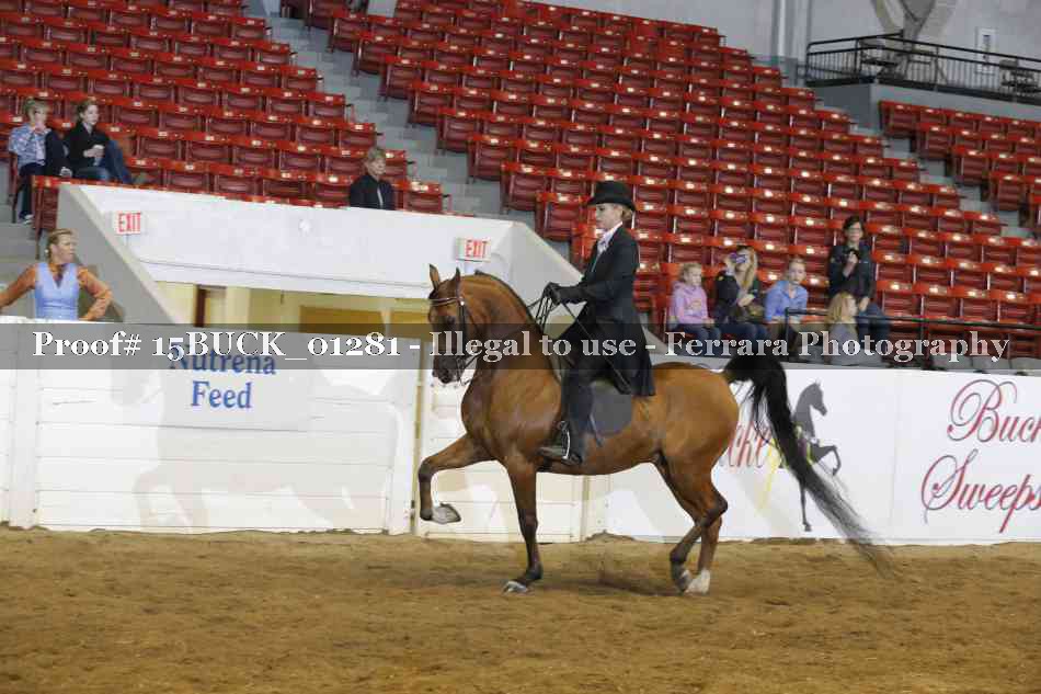 Proof 15BUCK_01281