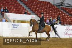 15BUCK_01281 proof