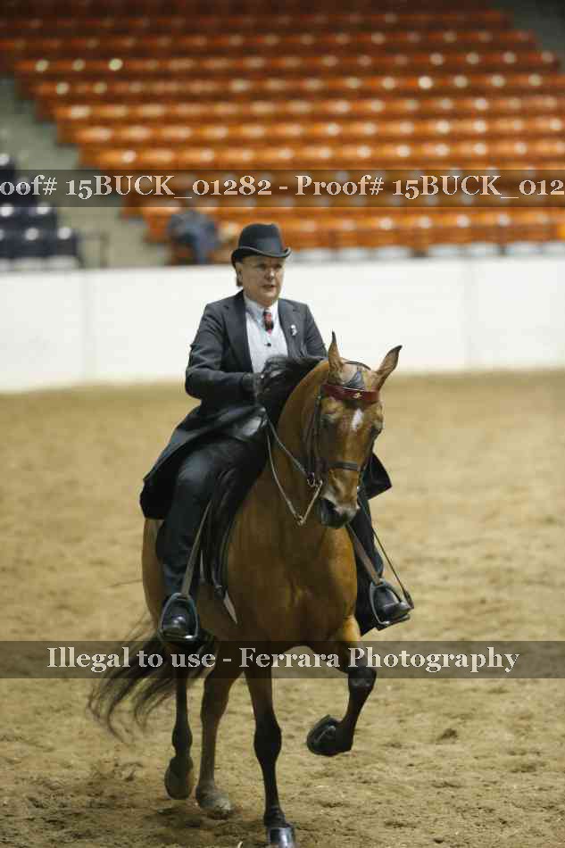Proof 15BUCK_01282