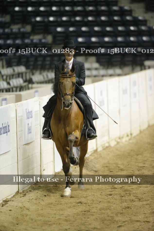Proof 15BUCK_01283
