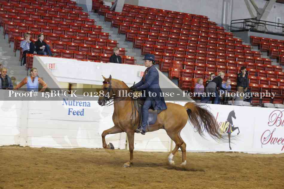 Proof 15BUCK_01284