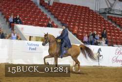 15BUCK_01284 proof
