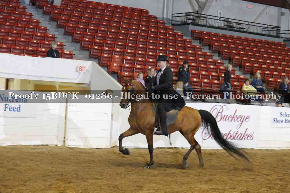Proof 15BUCK_01286