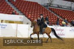 15BUCK_01286 proof