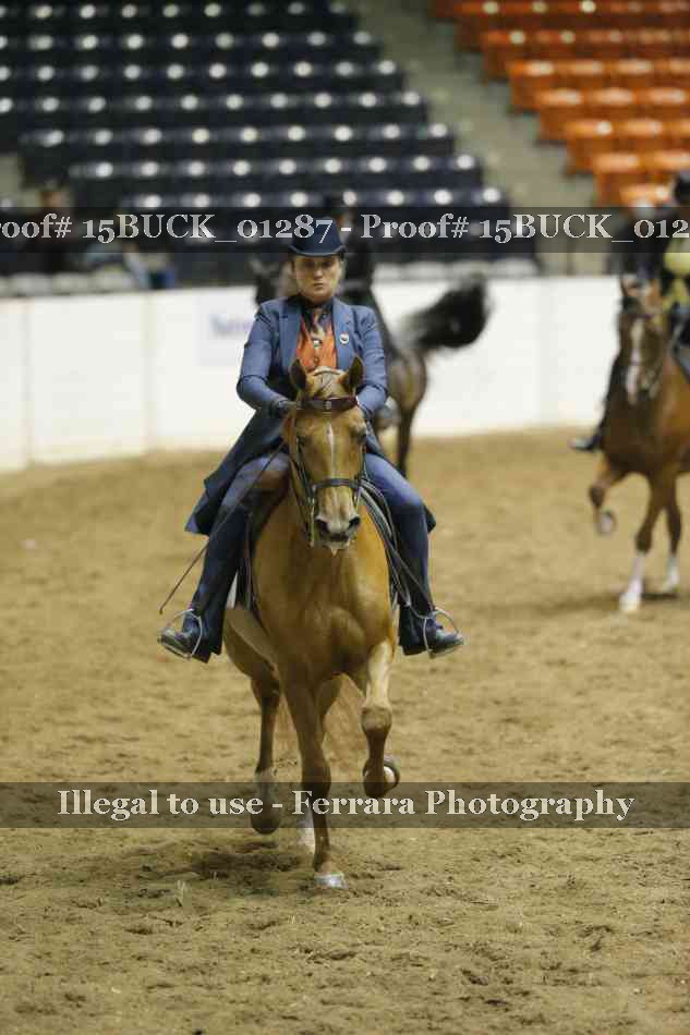 Proof 15BUCK_01287