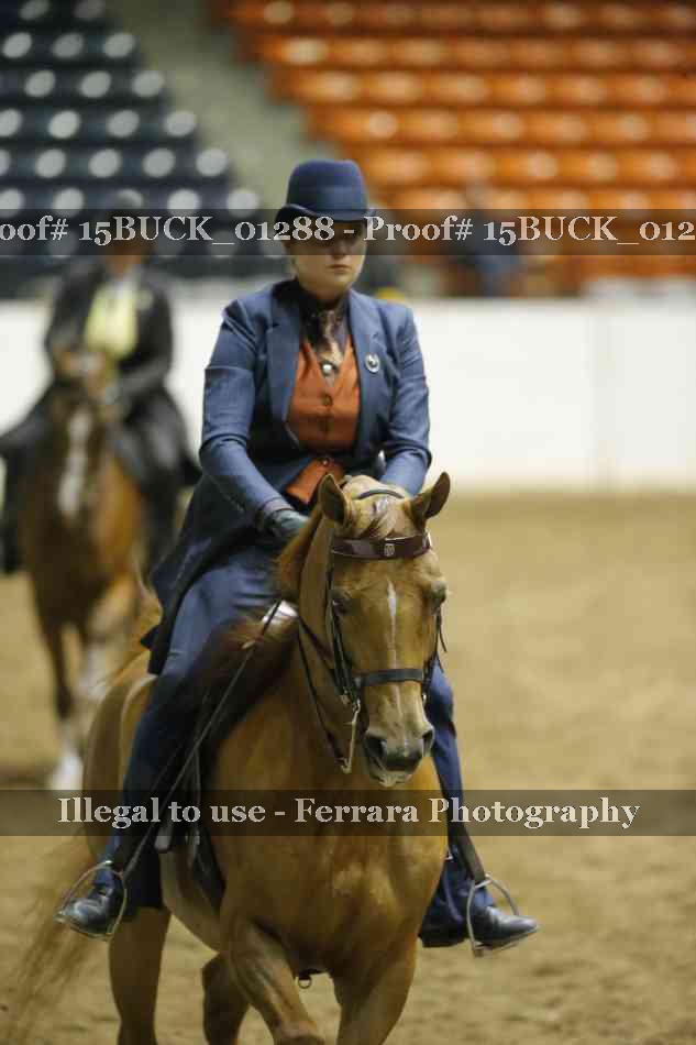 Proof 15BUCK_01288