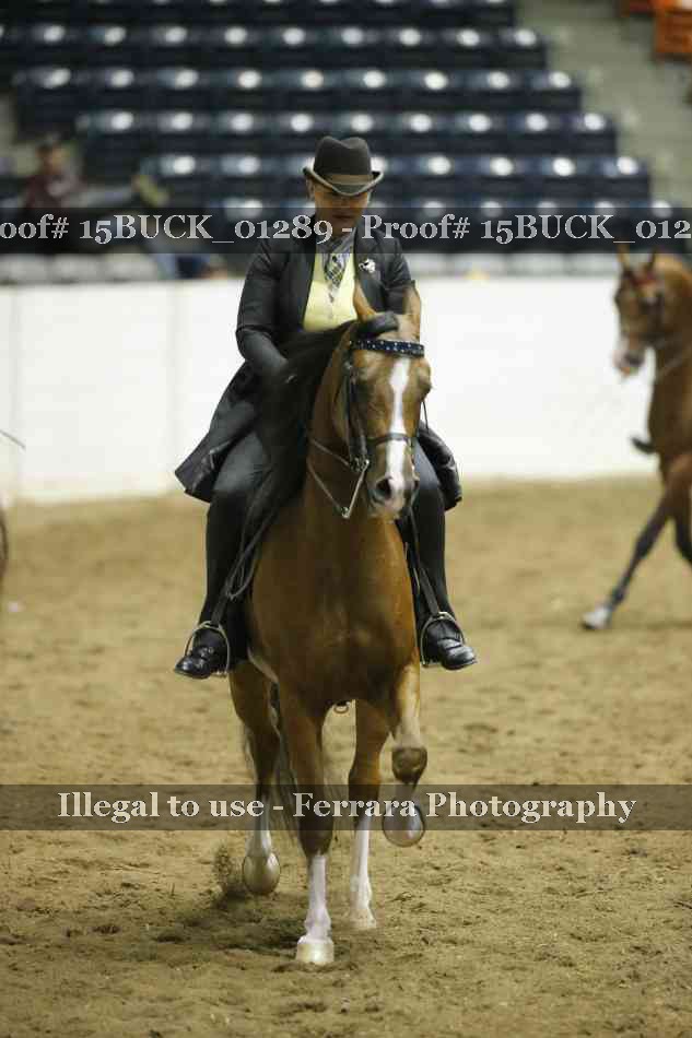 Proof 15BUCK_01289
