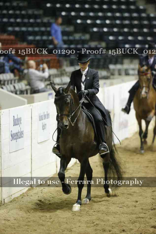 Proof 15BUCK_01290
