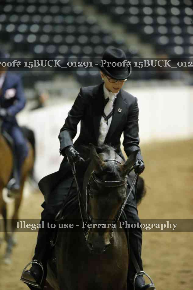 Proof 15BUCK_01291