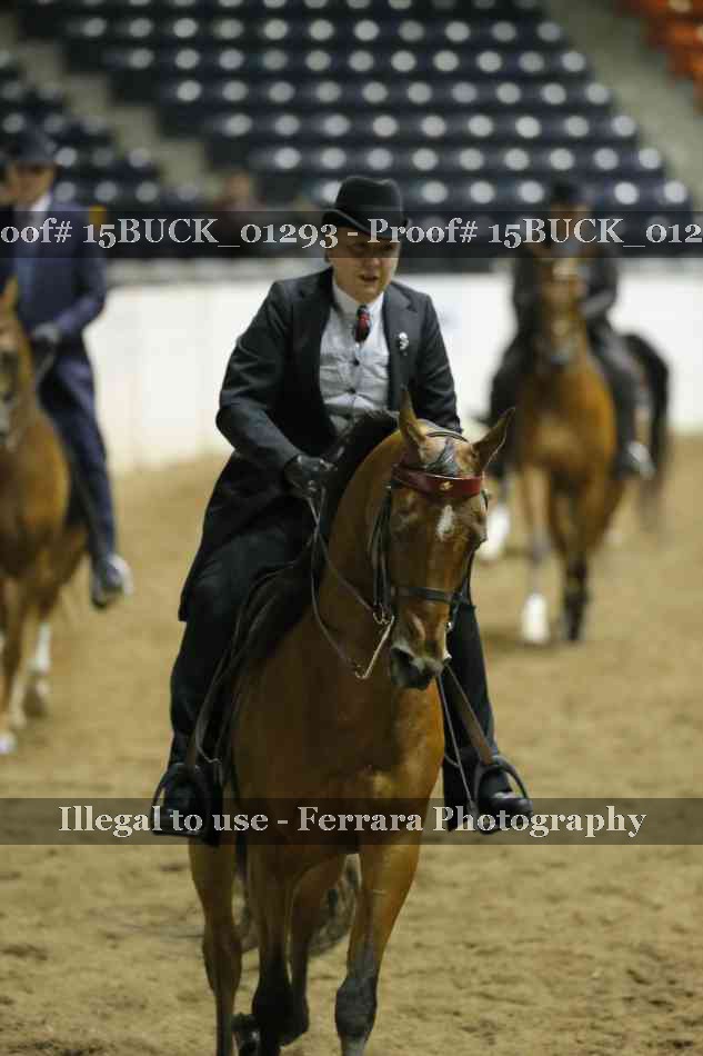 Proof 15BUCK_01293