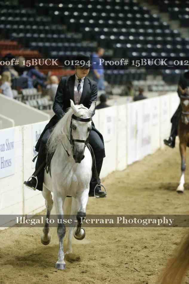 Proof 15BUCK_01294