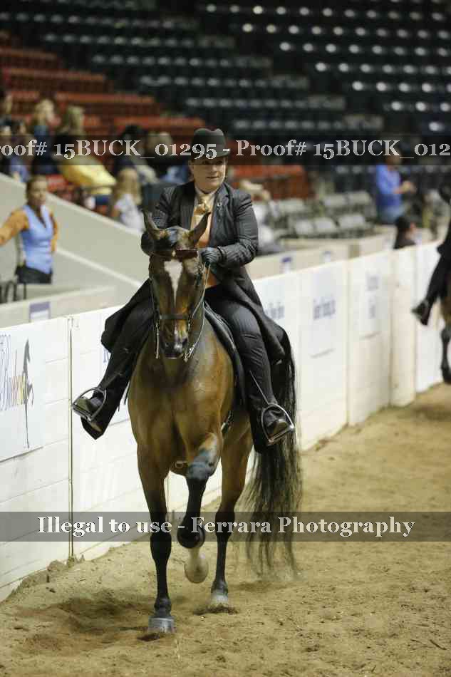 Proof 15BUCK_01295