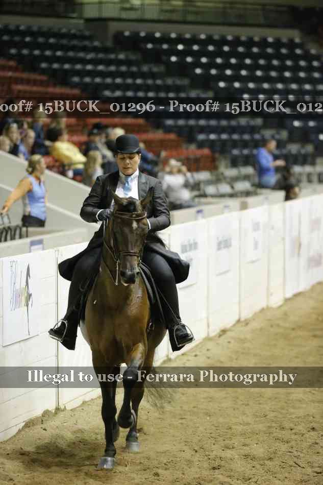 Proof 15BUCK_01296