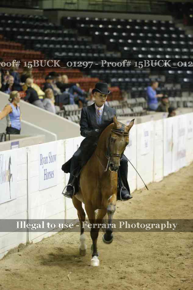 Proof 15BUCK_01297