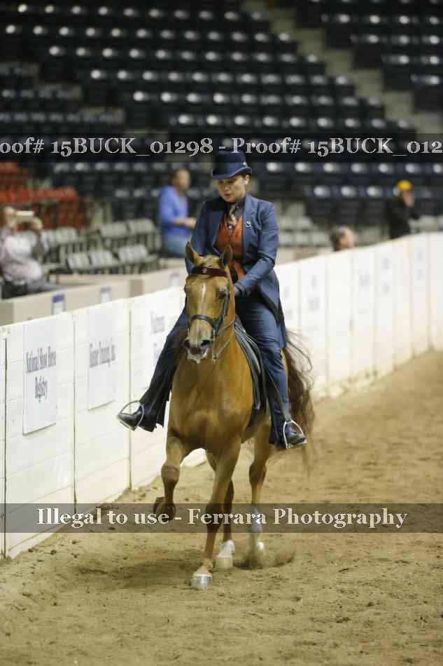Proof 15BUCK_01298