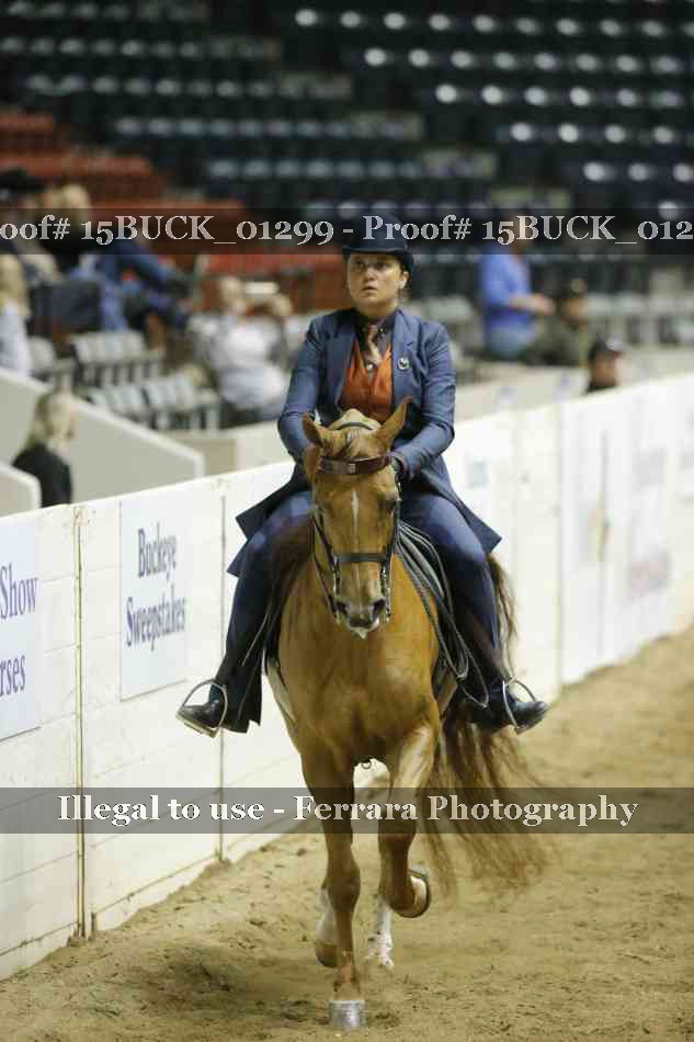 Proof 15BUCK_01299