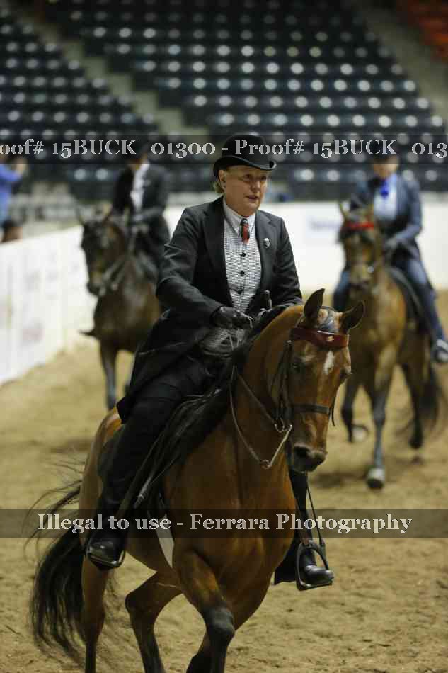 Proof 15BUCK_01300