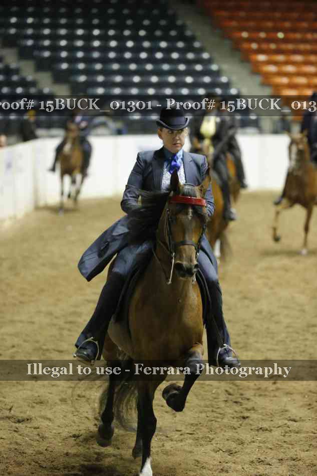 Proof 15BUCK_01301