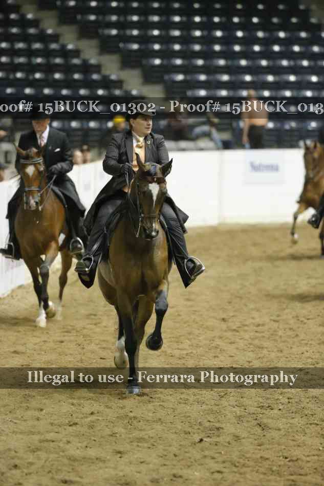 Proof 15BUCK_01302