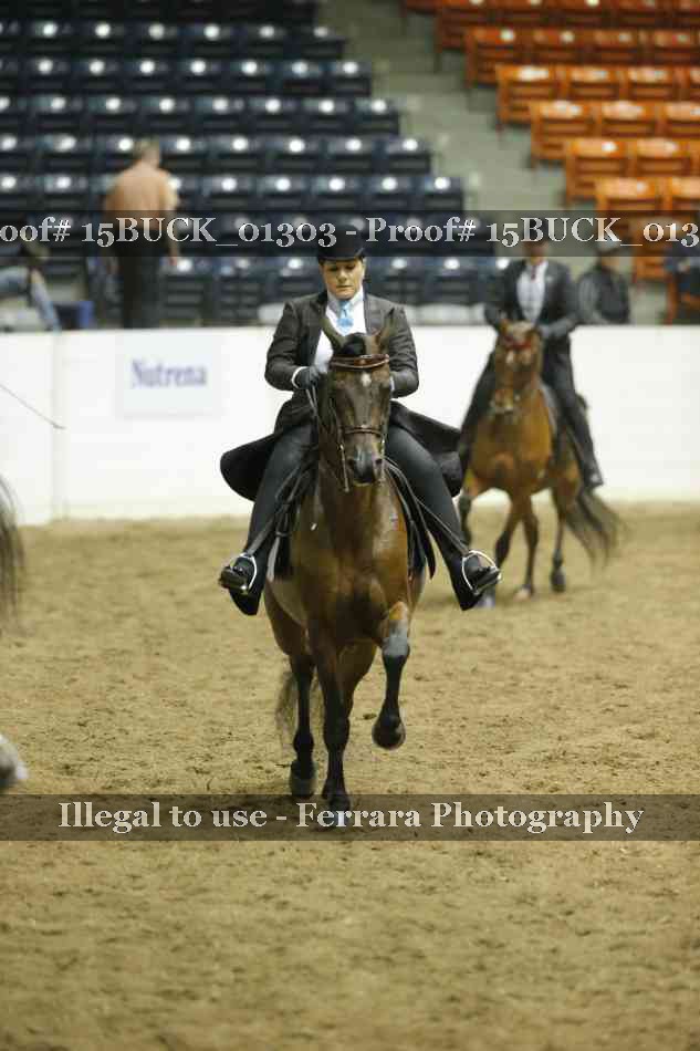 Proof 15BUCK_01303