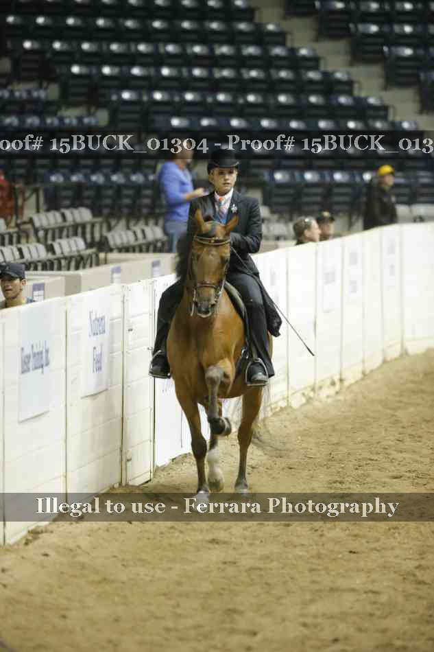 Proof 15BUCK_01304