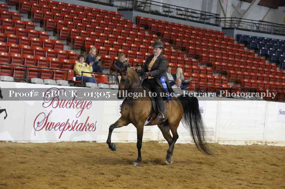 Proof 15BUCK_01305
