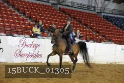 15BUCK_01305 proof