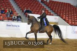 15BUCK_01306 proof