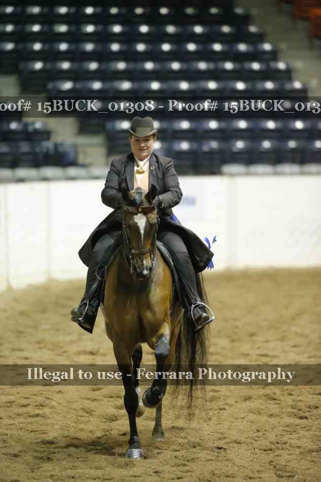 Proof 15BUCK_01308