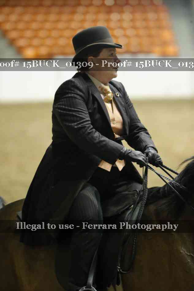 Proof 15BUCK_01309