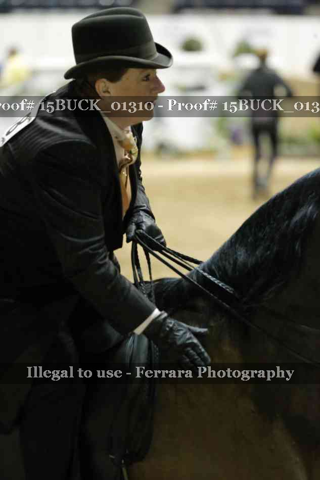 Proof 15BUCK_01310