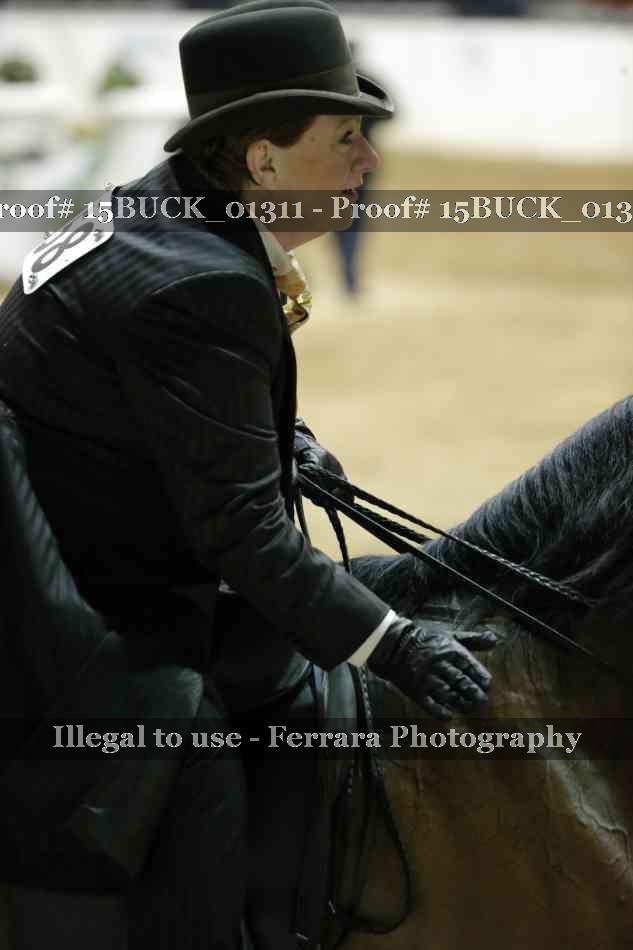 Proof 15BUCK_01311